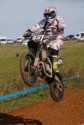 #931 Paul Willis