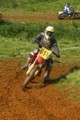 #611 Dave Whitehead