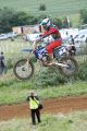 #84 Adam Collins