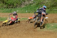 #565 Reece Wain