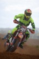 #41 Harley Antal