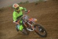 #41 Harley Antal