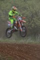 #41 Harley Antal