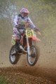 #81 Paul Stacey
