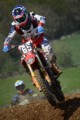 #65 Bradley Parradine